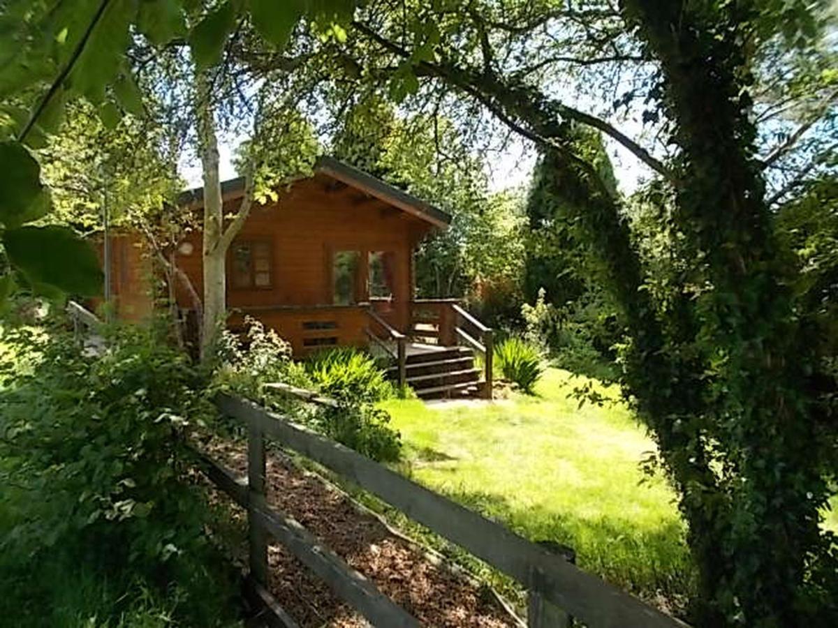 Tudor Lodge With Pool & Bbq Cabin Liskeard Zewnętrze zdjęcie